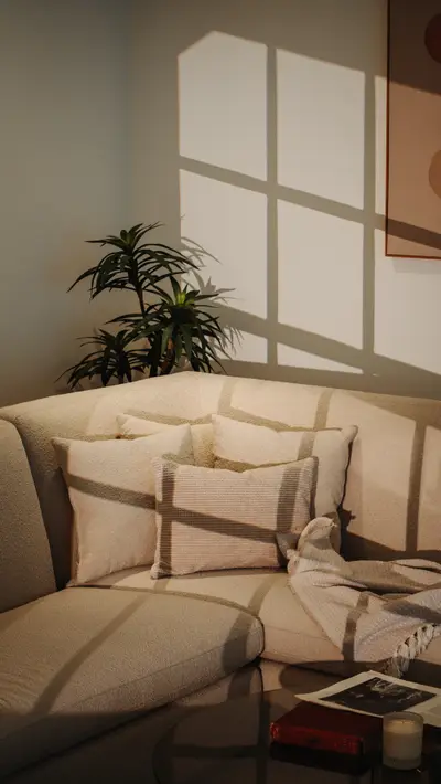 A boucle sofa under window-grid shadow with a plant and framed art