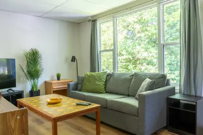 A living room with green sofa and woodland through the windows