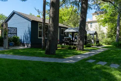 Blue cabins lining the path under the trees