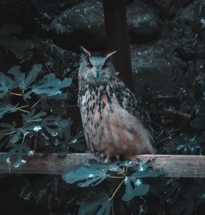 An eagle owl perched among leaves, eyes forward