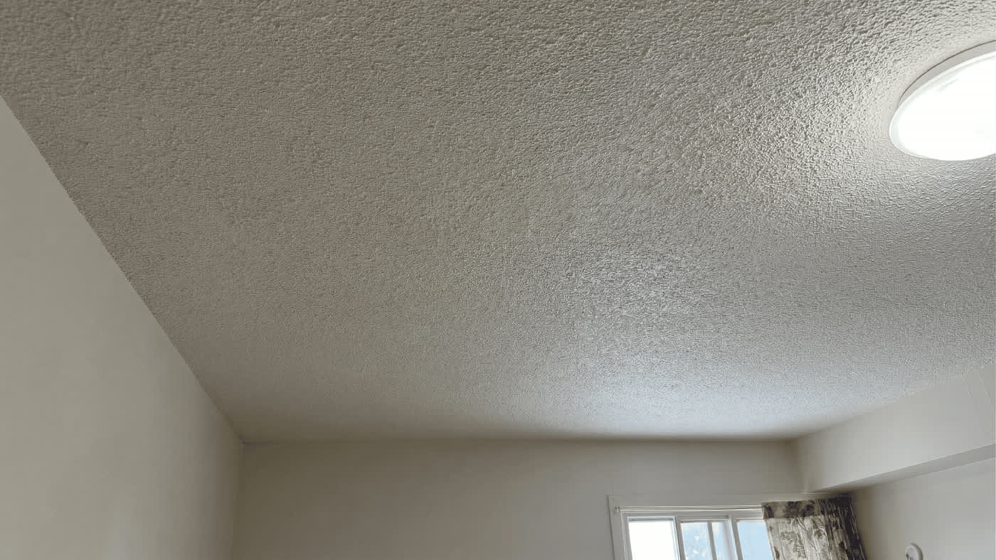 Ceilings project in Ottawa by Fidan Construction - after