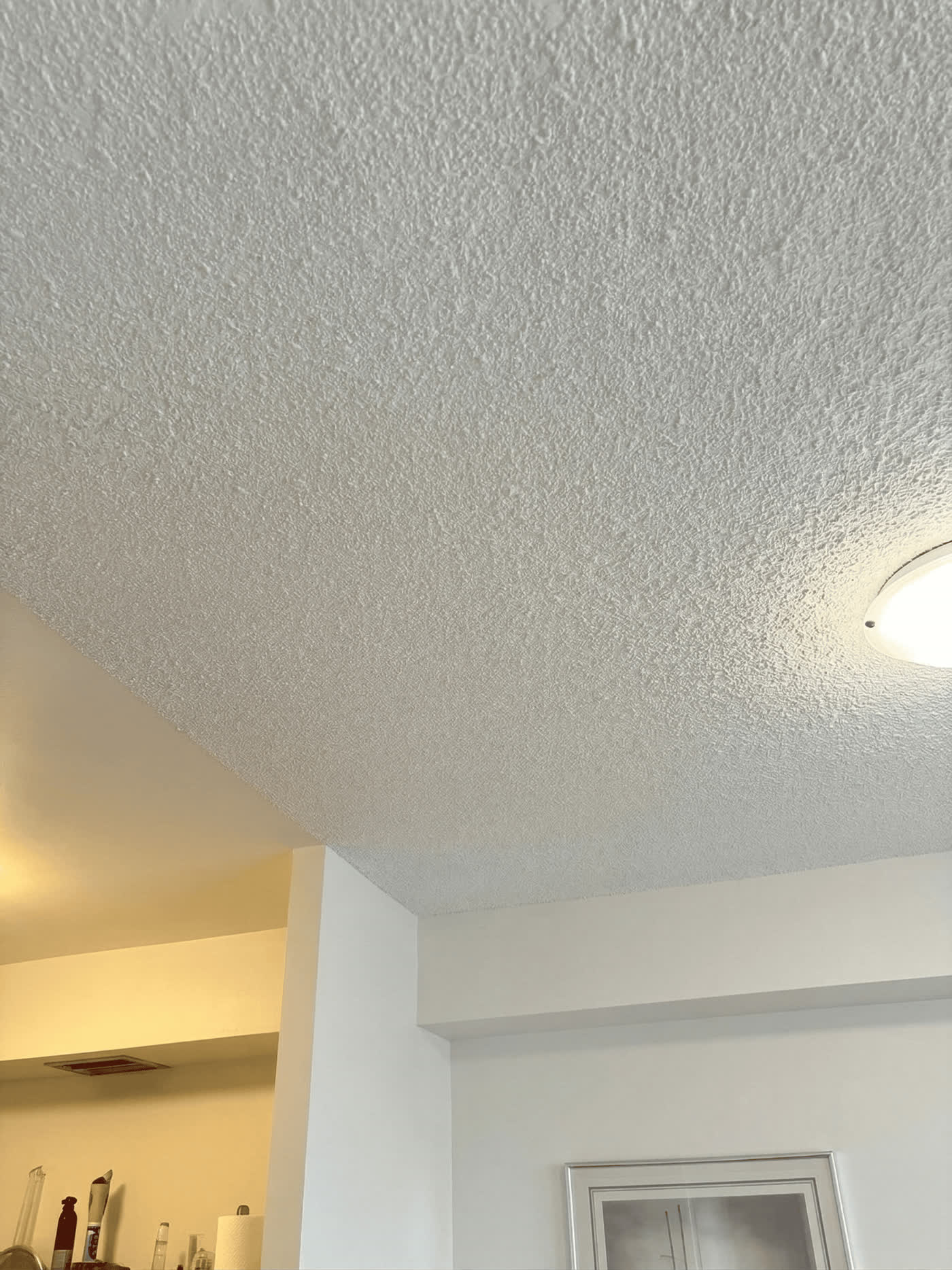 Ceilings project in Ottawa by Fidan Construction - after