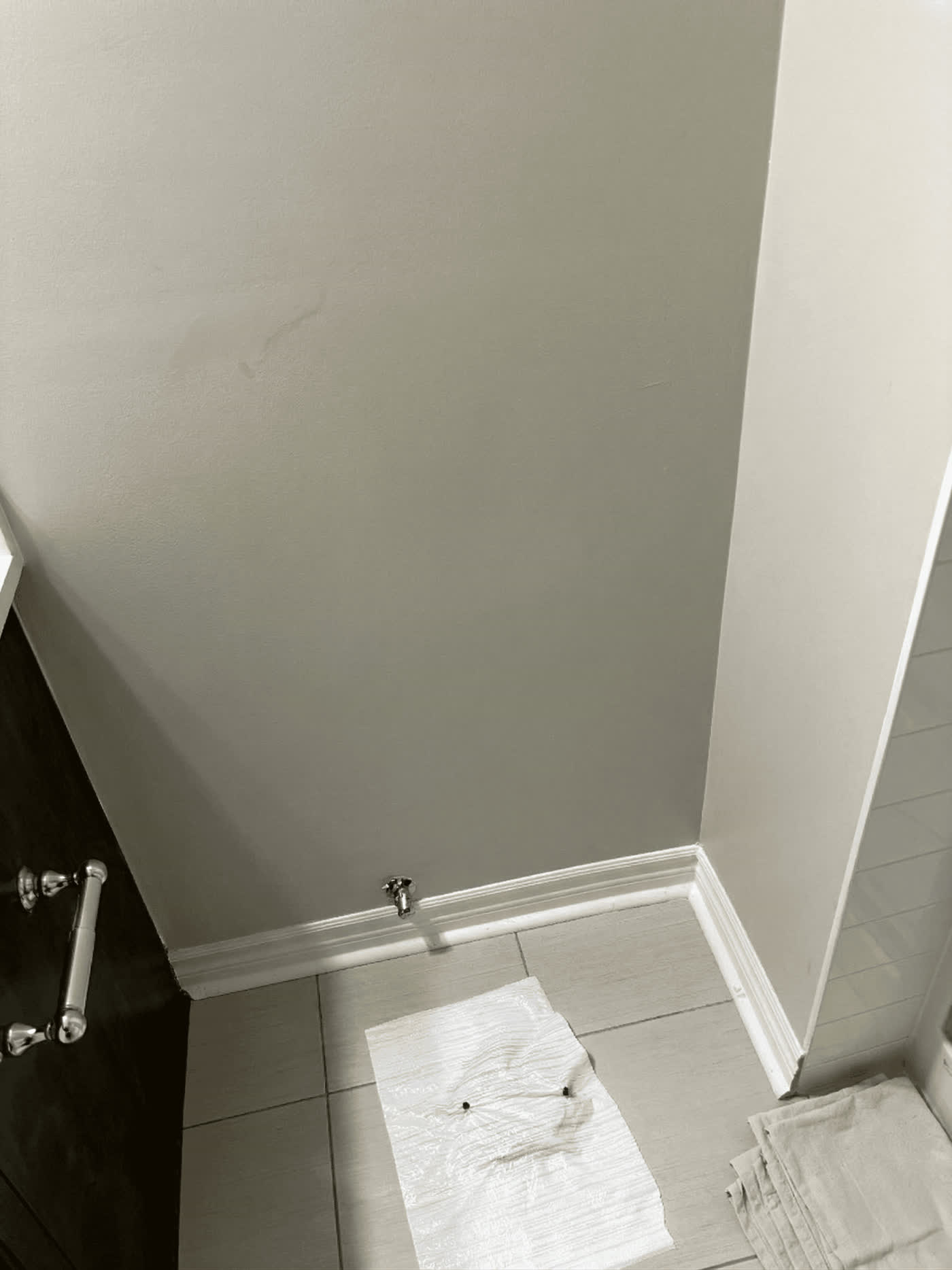 Water Damage project in Ottawa by Fidan Construction - after