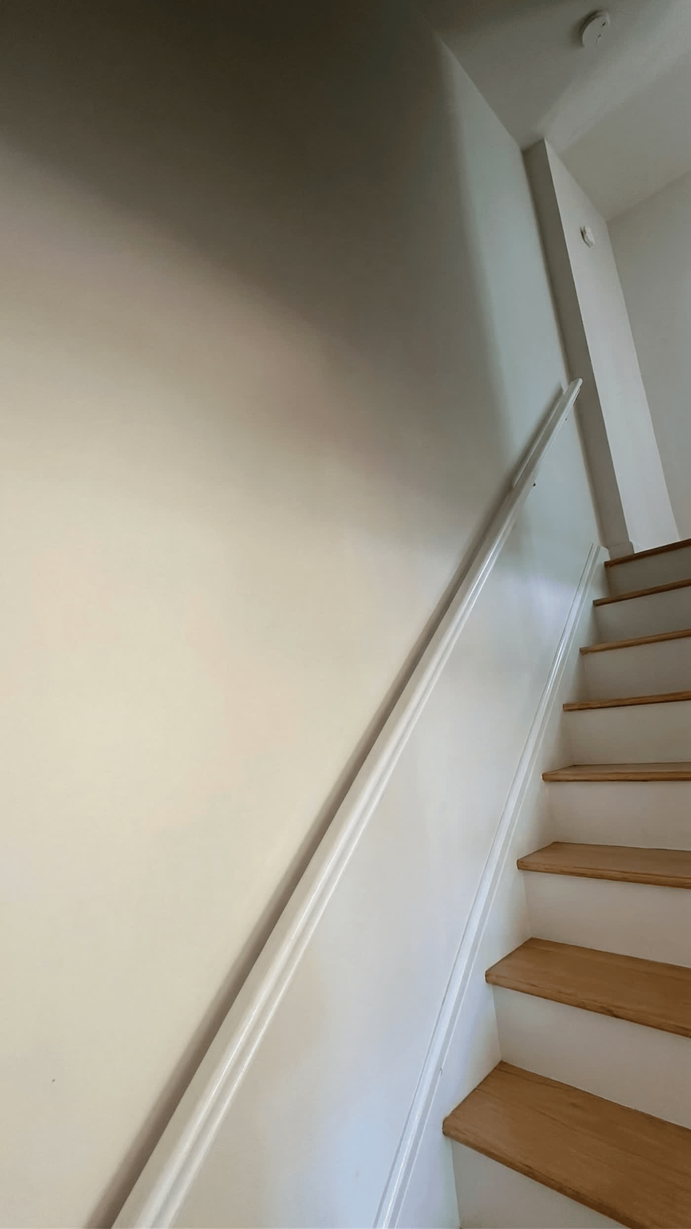 Walls project in Ottawa by Fidan Construction - after