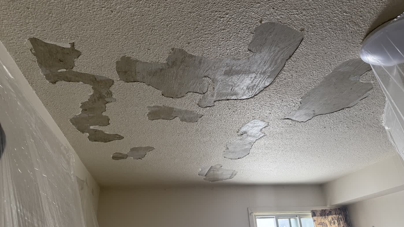 Ceilings project in Ottawa by Fidan Construction - before