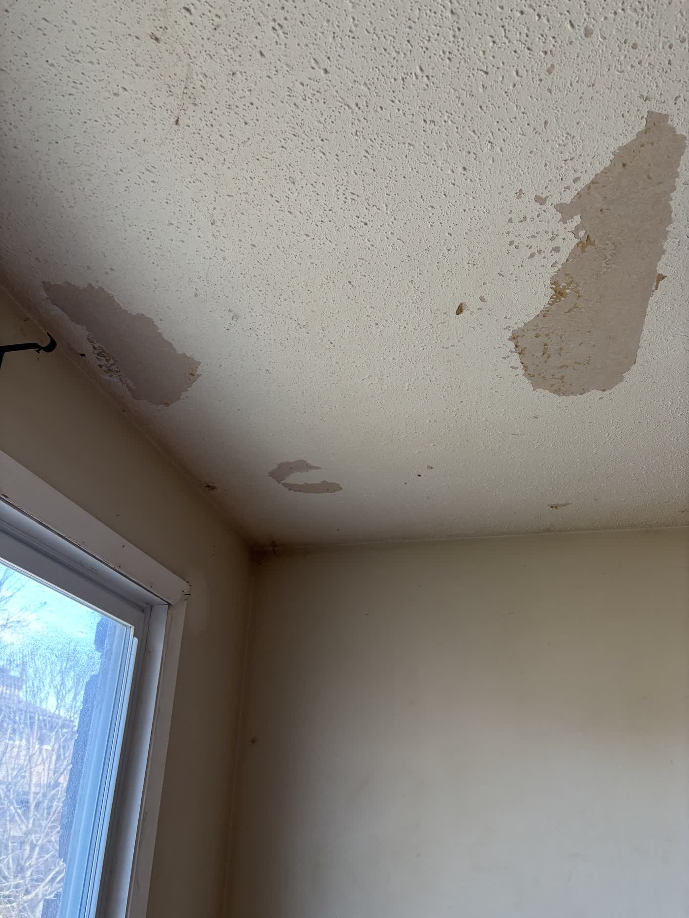 Ceilings project in Ottawa by Fidan Construction - before
