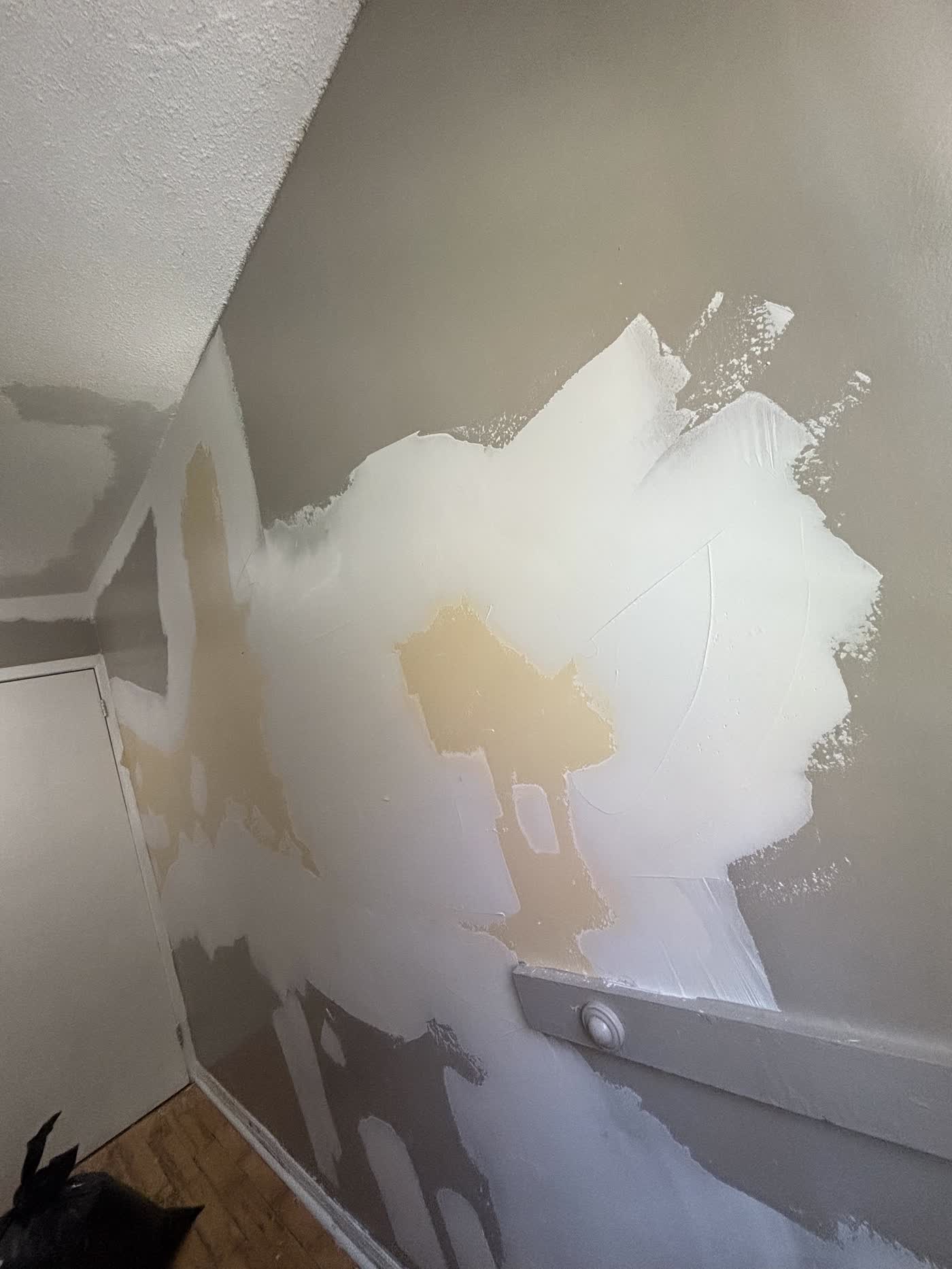 Ceilings project in Ottawa by Fidan Construction - before