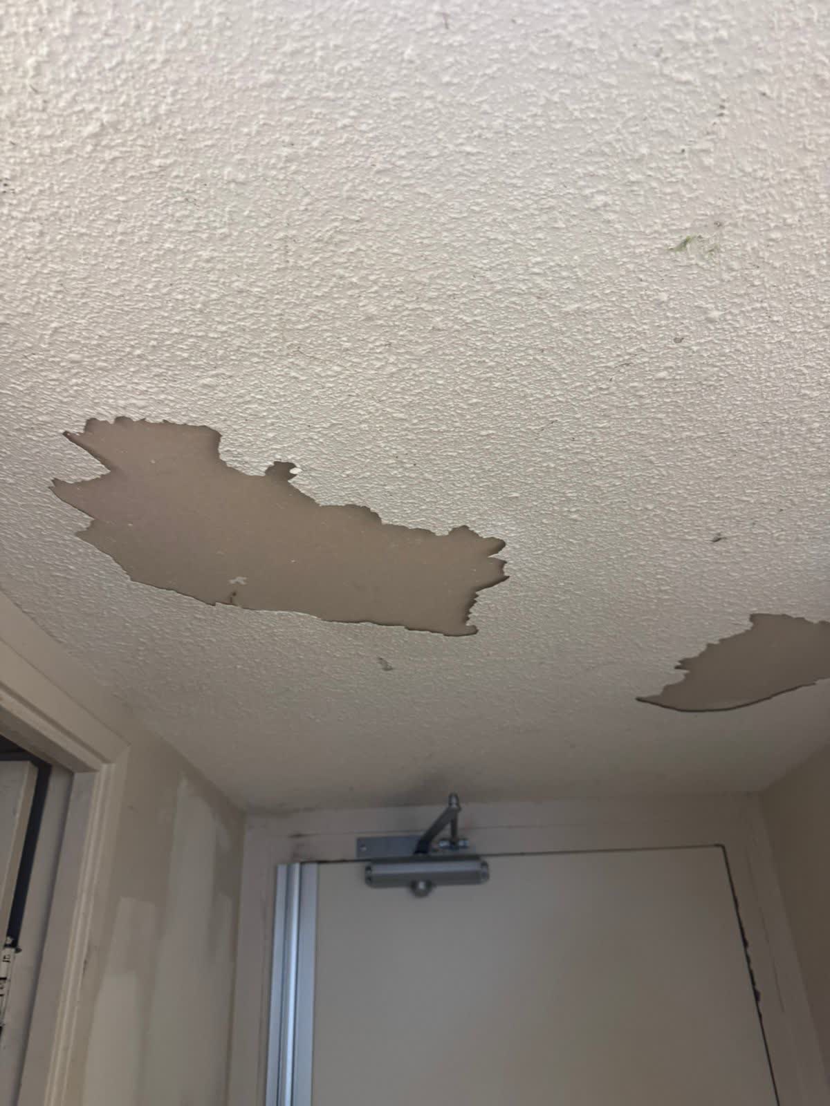 Ceilings project in Ottawa by Fidan Construction - before