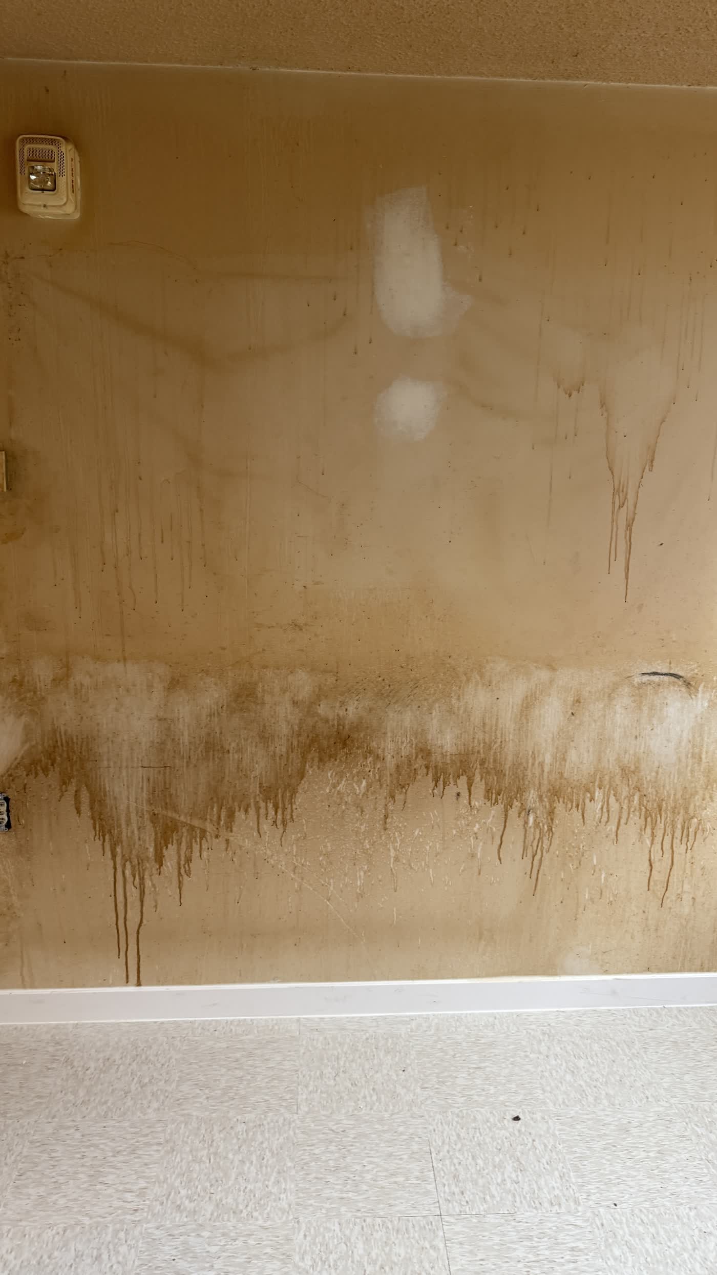 Water Damage project in Ottawa by Fidan Construction - before
