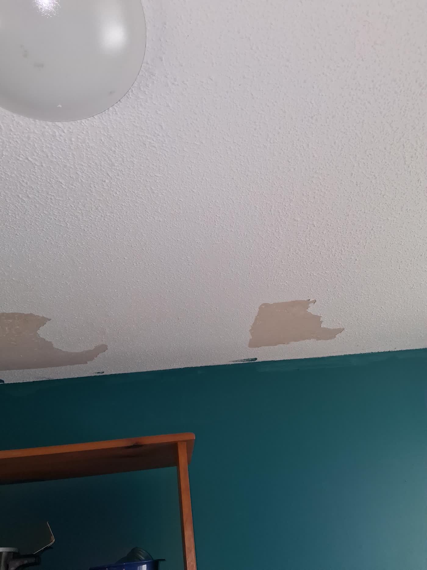 Ceilings project in Ottawa by Fidan Construction - before