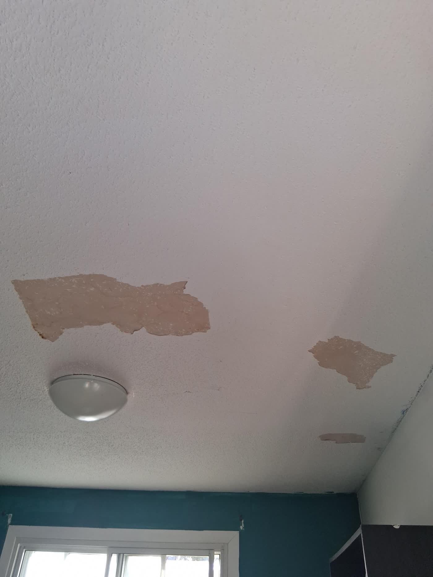 Ceilings project in Ottawa by Fidan Construction - before