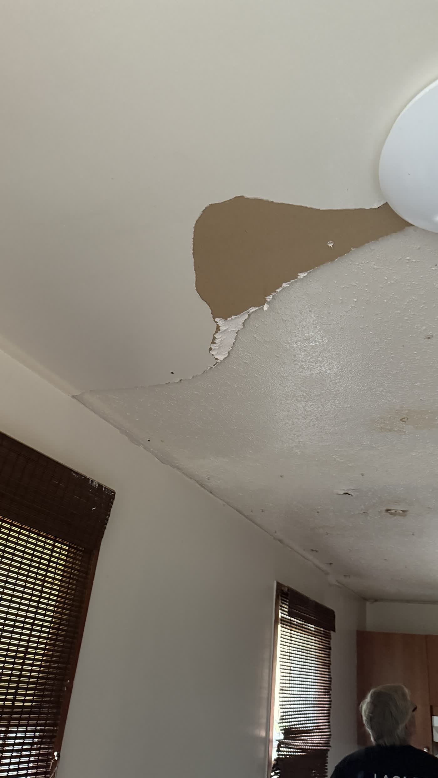 Ceilings project in Ottawa by Fidan Construction - before
