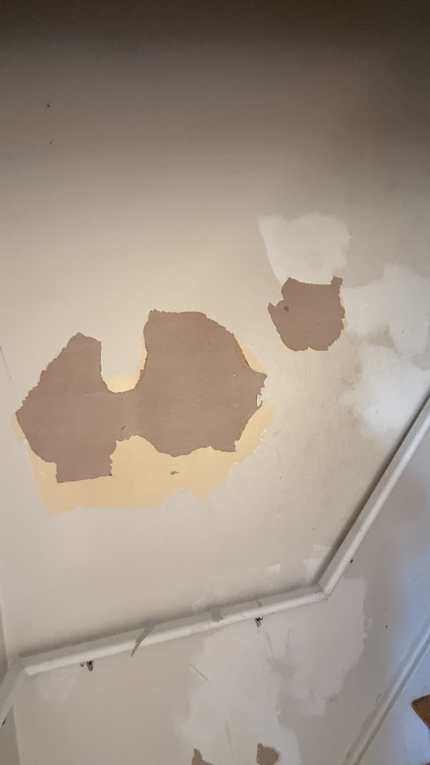 Walls project in Ottawa by Fidan Construction - before